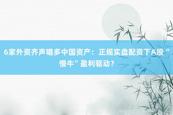 6家外资齐声唱多中国资产：正规实盘配资下A股“慢牛”盈利驱动？
