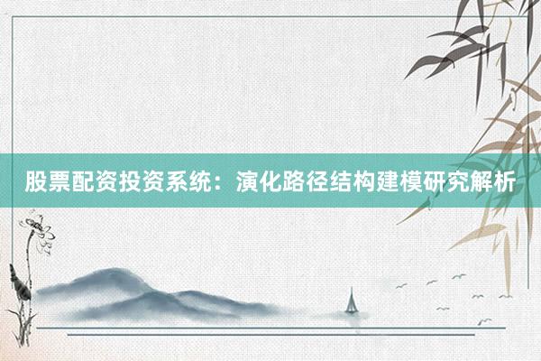 股票配资投资系统：演化路径结构建模研究解析