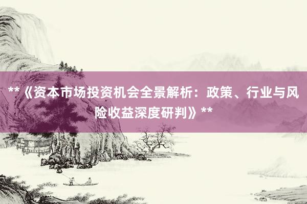 **《资本市场投资机会全景解析：政策、行业与风险收益深度研判》**